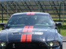 Ford Mustang GT 500 Shelby