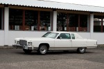 Testace-6